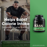 Optimum Nutrition Serious Mass – mélange fruits pour agrémenter le shake et augmenter les calories