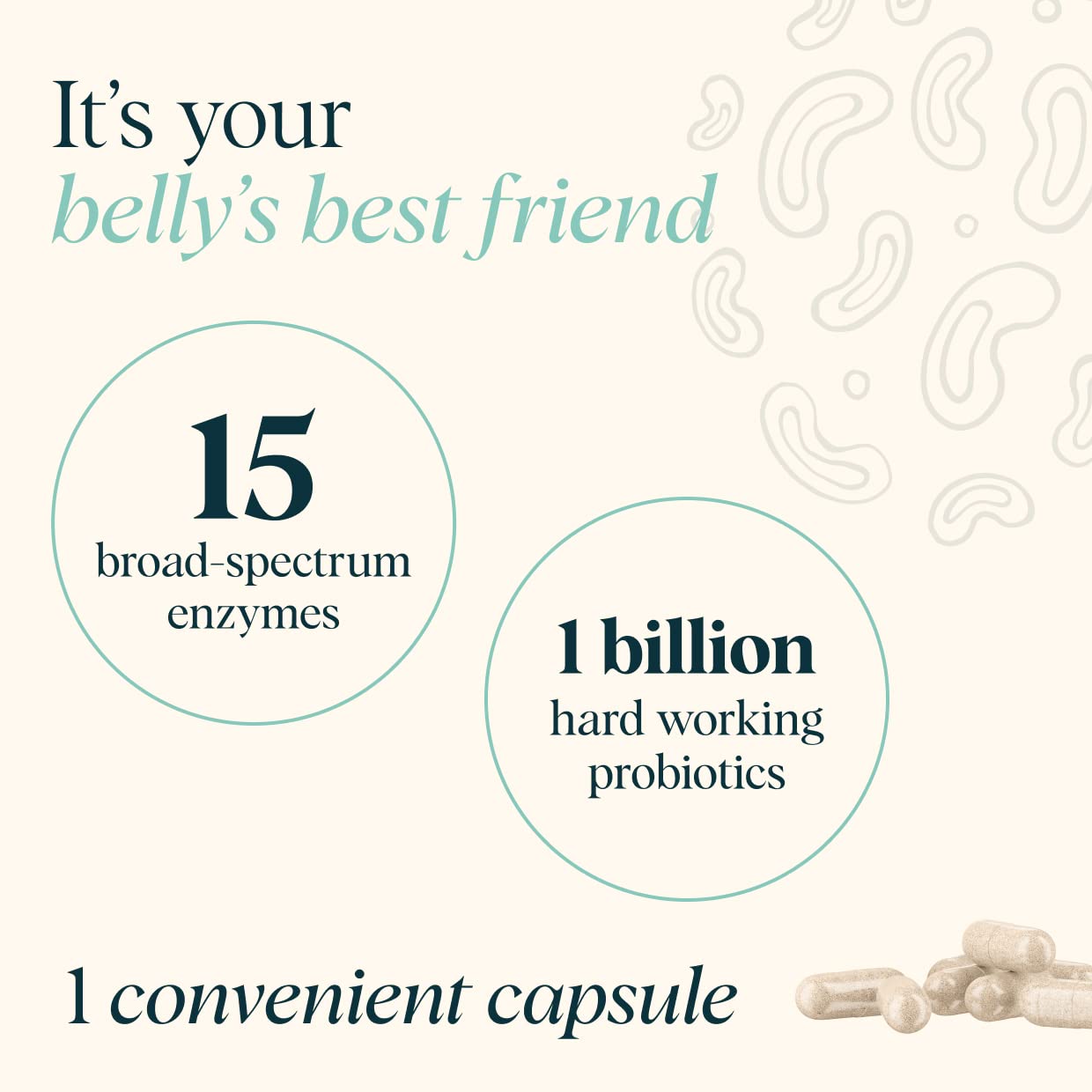  Ora Organic hémicellulase et xylanase: décomposition des fibres végétales