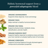 Ora Organic – maca racine, énergie et équilibre potentiel.