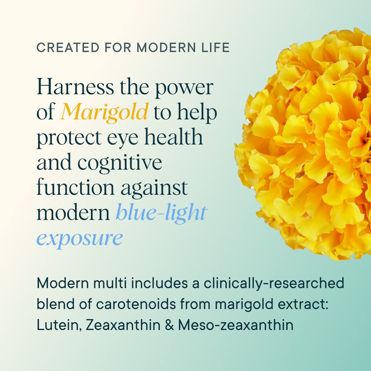 Ora Organic Multivitamine, tests en laboratoire indépendants et certification vegan.