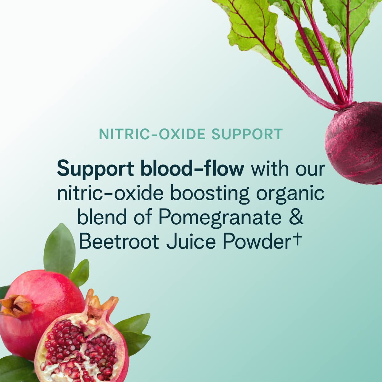 Ingrédients biologiques Ora Organic Pré-entraînement pour une énergie propre