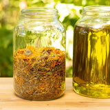 Emballage en verre et recyclable – Ora's Amazing Herbal.