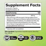 Orby BurnSlim – ingredients-plantes-feuille-olive-moringa-basilic: utilisation quotidienne naturelle.