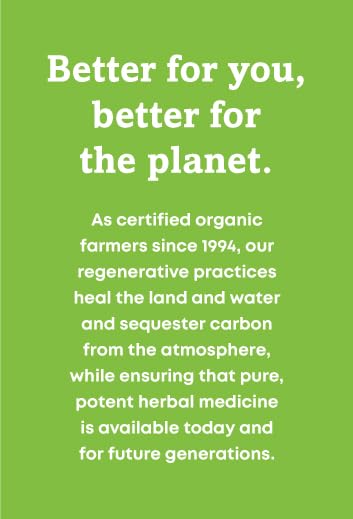 Oregon's Wild Harvest Kelp bouteille naturelle et marine, présentation claire du produit.
