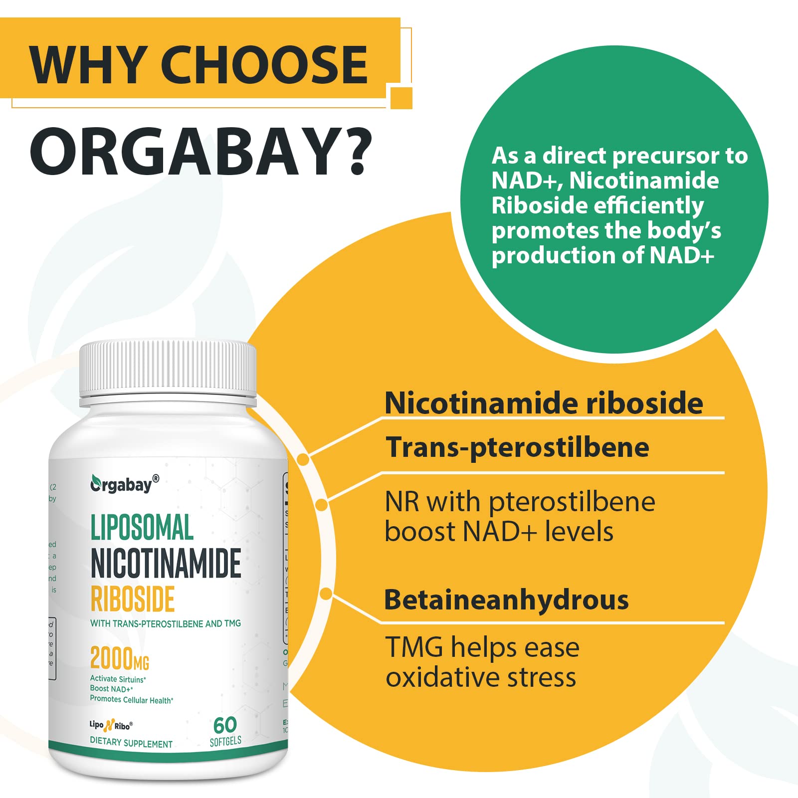 Orgabay Liposomal Nicotinamide Riboside – absorption liposomale accrue.