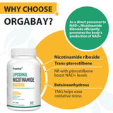 Orgabay Liposomal Nicotinamide Riboside – absorption liposomale accrue.