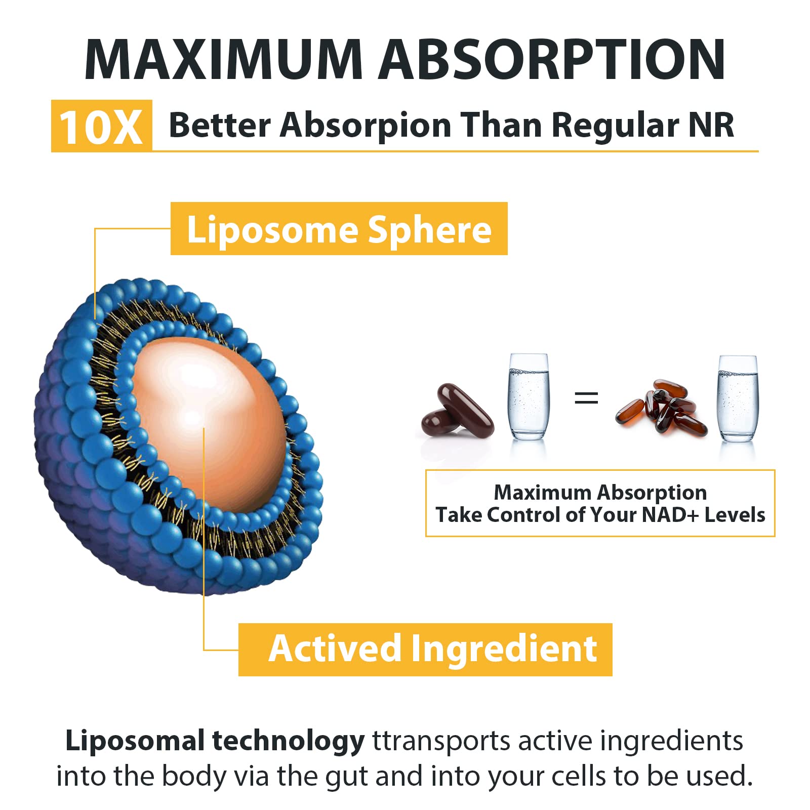 Orgabay Liposomal Nicotinamide Riboside – formulation exclusive.