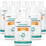 Orgabay Liposomal NAD+ - bouteille en gros plan, prise quotidienne facilitée.