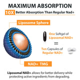 Orgabay liposomal NAD+ - Absorption optimale et énergie potentielle.