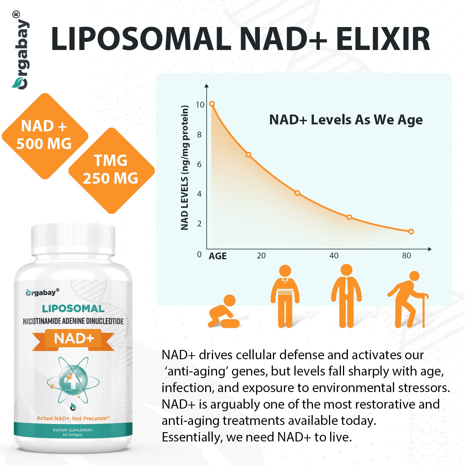 Orgabay NAD+ liposomale Plus — dose quotidienne pratique, prise simple.
