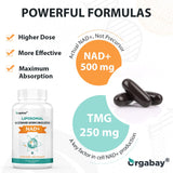 Orgabay NAD+ liposomale Plus — routine matinale facilitée grâce à une gélule par jour.