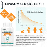 Orgabay liposomal NAD+ - Gelule associant TMG pour soutenir le cycle méthylation.