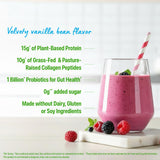 Orgain flacon vanille offre une texture onctueuse idéale pour smoothies.