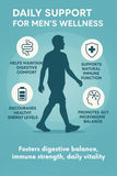 Infographie prébiotiques et postbiotiques : soutien digestif et immunitaire potentiel