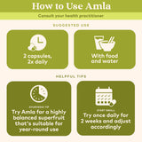 Organic India Amalaki – boîte emballage, produit biologique certifié