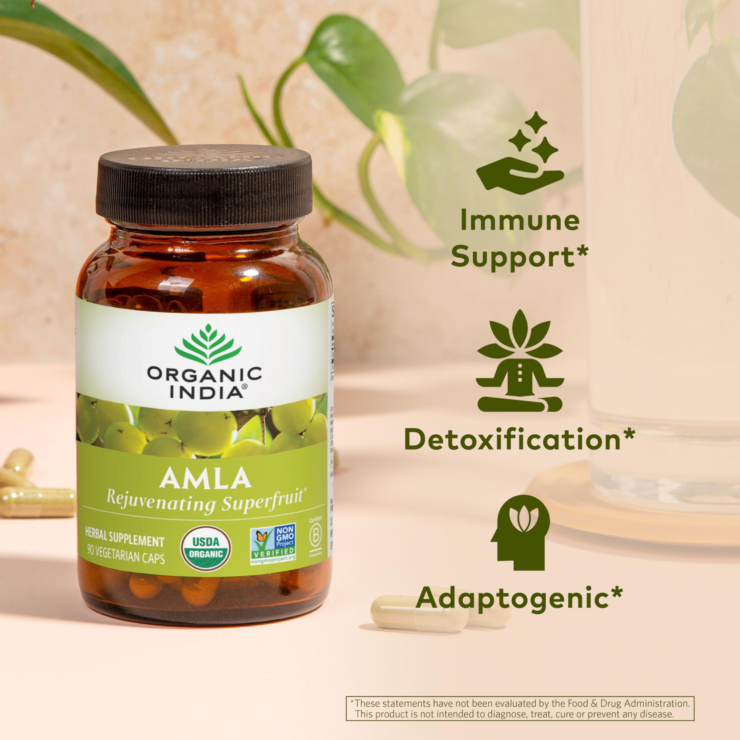 Organic India Amalaki – bouteille arrière, ingrédients et certifications