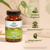Organic India Amalaki – bouteille arrière, ingrédients et certifications
