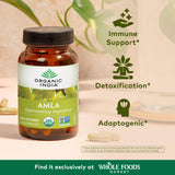 ORGANIC INDIA Amla en boîte, présentation pratique et facile d emploi