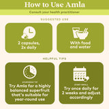 ORGANIC INDIA Amla dosage, capsules faciles à avaler dans une routine