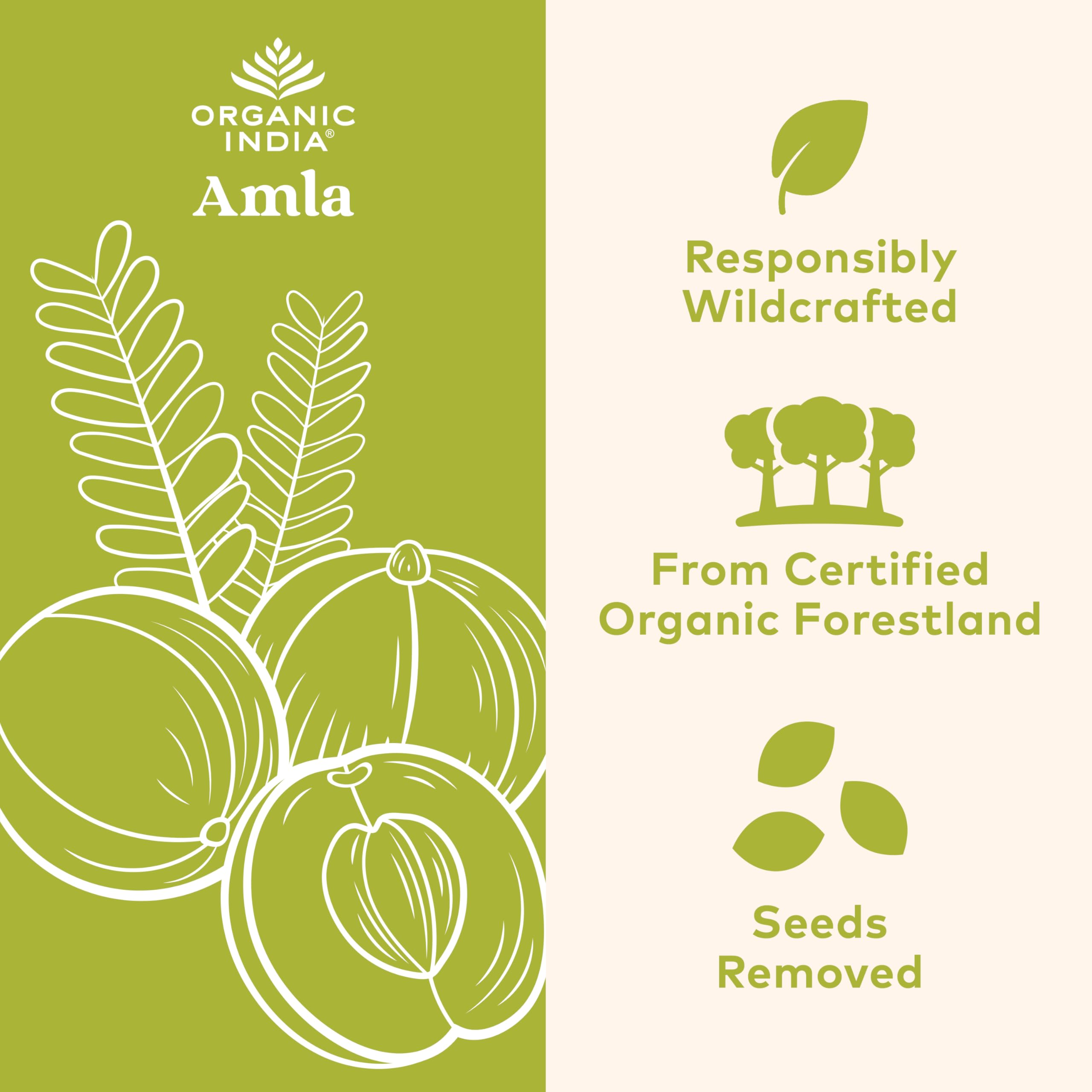 ORGANIC INDIA Amla ingrédients naturels et antioxydants potentiels