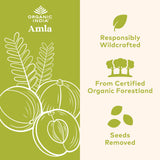 ORGANIC INDIA Amla ingrédients naturels et antioxydants potentiels