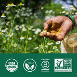 ORGANIC INDIA Ashwagandha Poudre dans une boisson froide, mélange homogène.