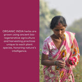 ORGANIC INDIA Ashwagandha Poudre sur cuillère-dose, pratique pour routine quotidienne.