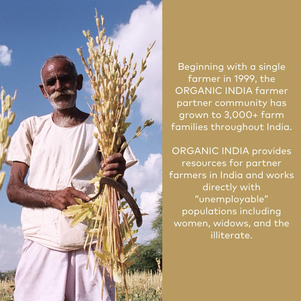 Organic India Mémoire montre le soutien de la circulation cérébrale pour le fonctionnement cognitif.