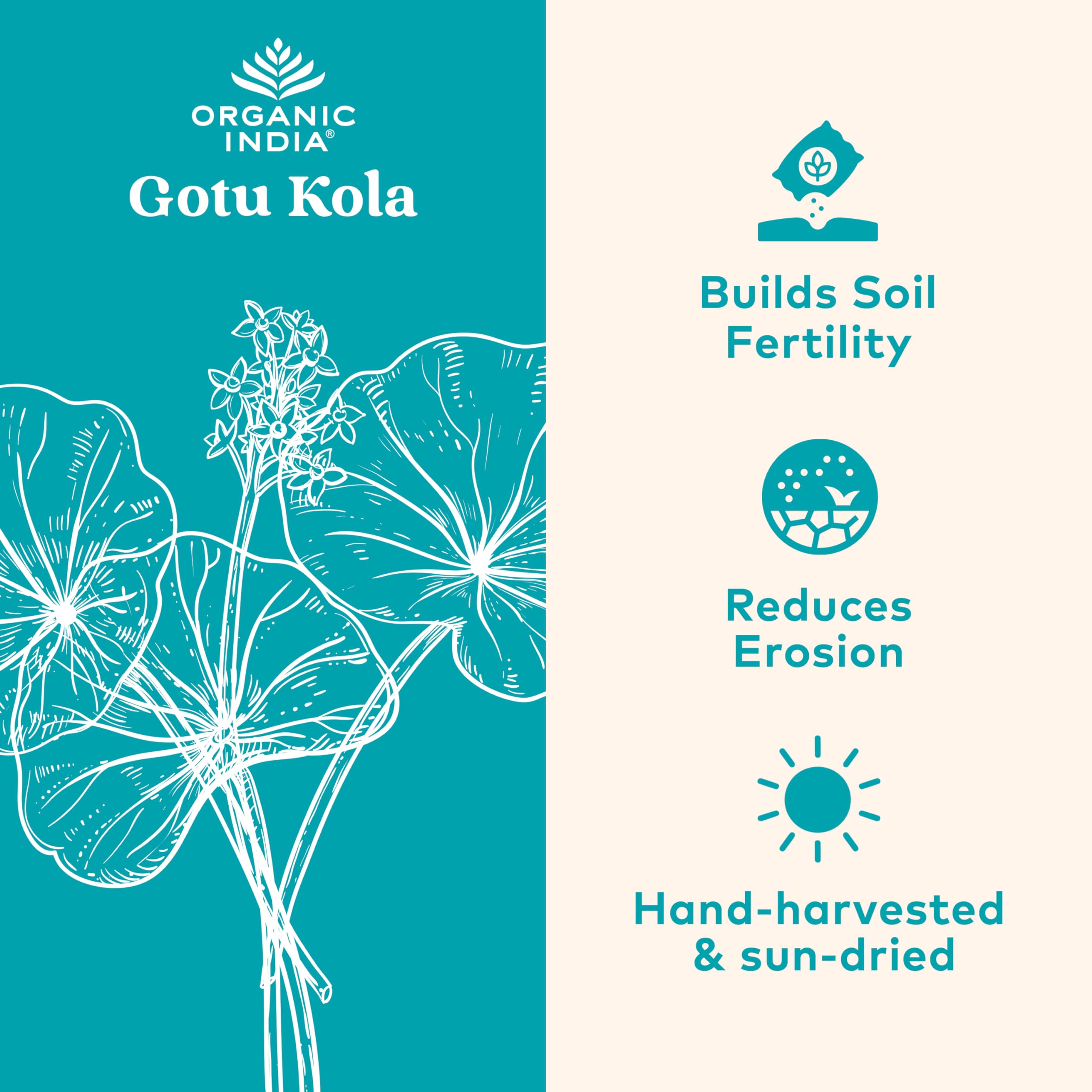 Gotu Kola Organic India – bouteille pratique pour routine quotidienne