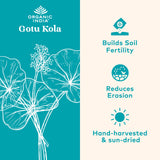 Gotu Kola Organic India – bouteille pratique pour routine quotidienne