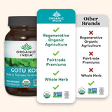 Gotu Kola Organic India – culture régénérative et durabilité agricole