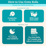 Gotu Kola Organic India – ingrédients détaillés et plantes utilisées