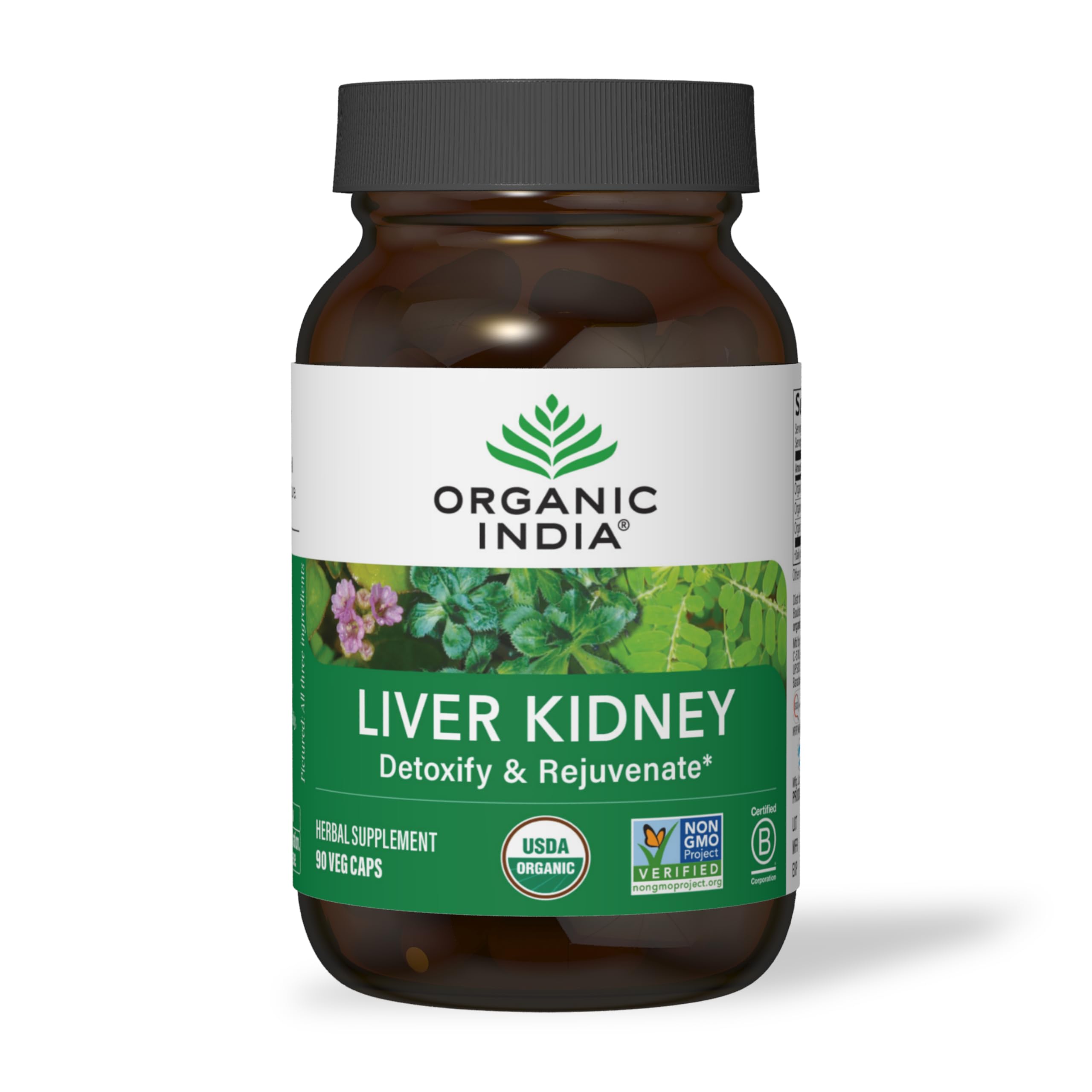 Bouteille ORGANIC INDIA Liver Kidney sur fond blanc, soutien potentiel du foie et des reins.