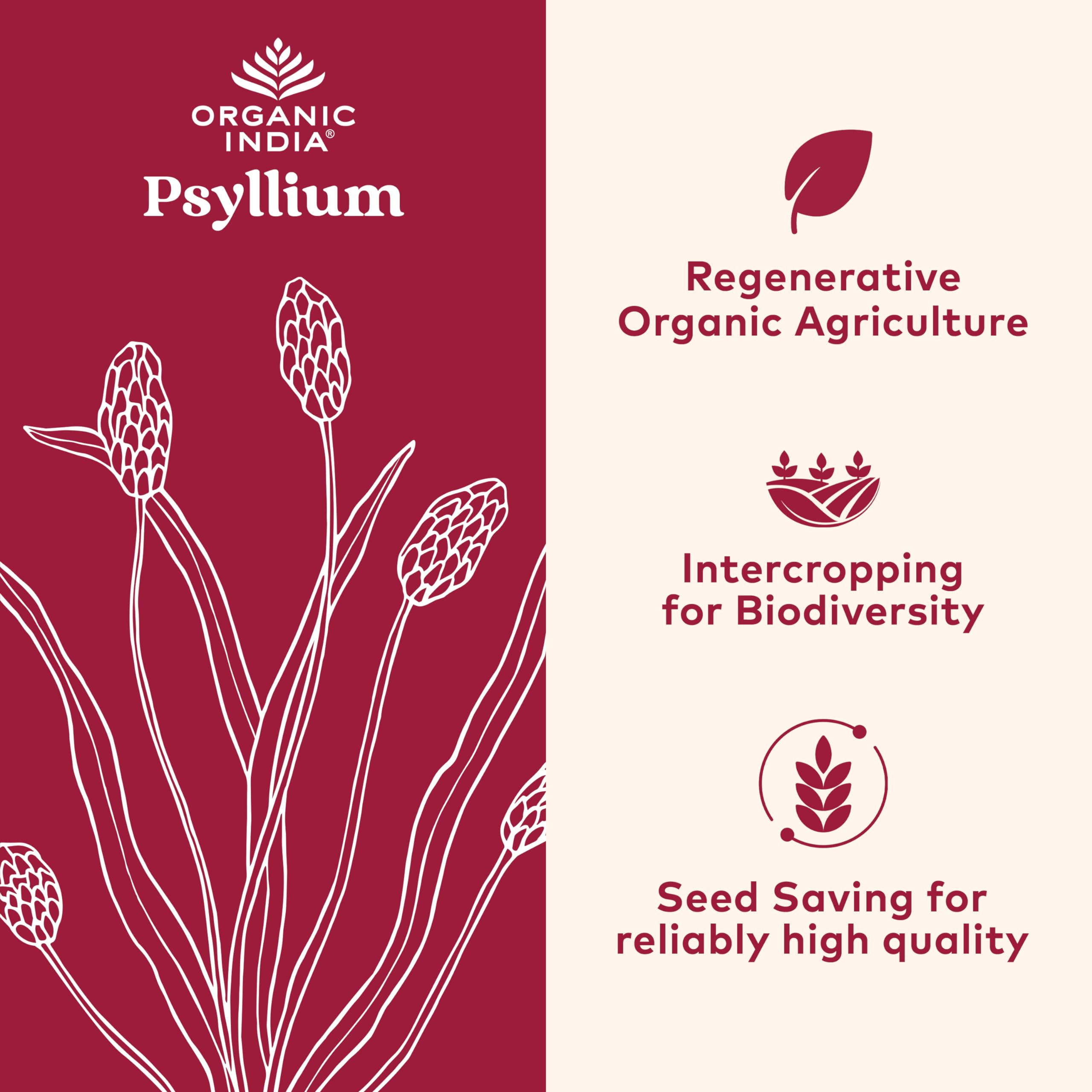 Cuillère-doseuse ORGANIC INDIA Psyllium pour mesurer l'apport quotidien en fibres.