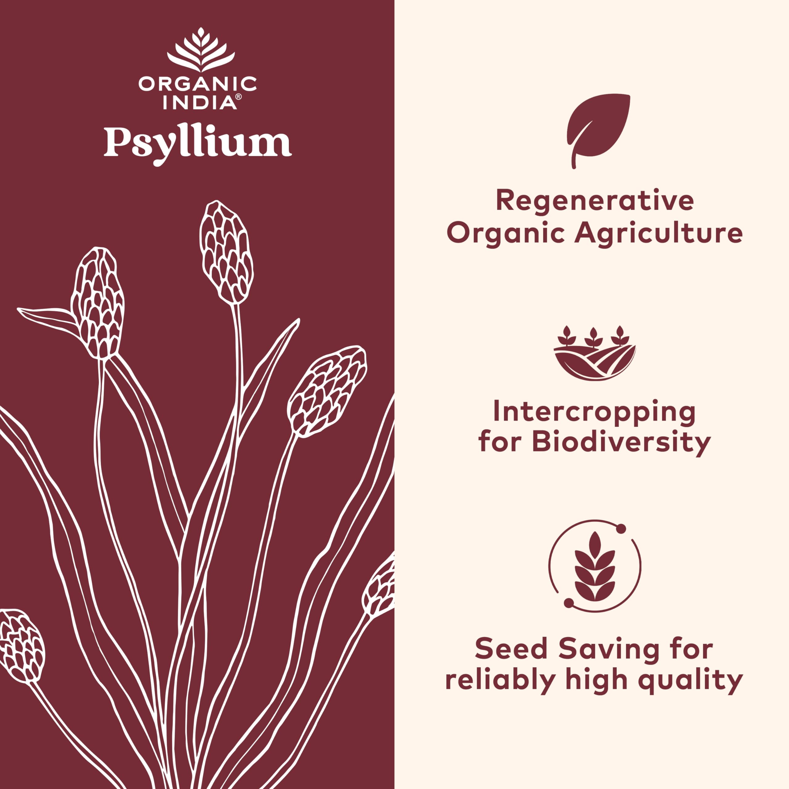 Organic India Psyllium Husk Capsules : image poudre, fibre soluble favorisant la digestion