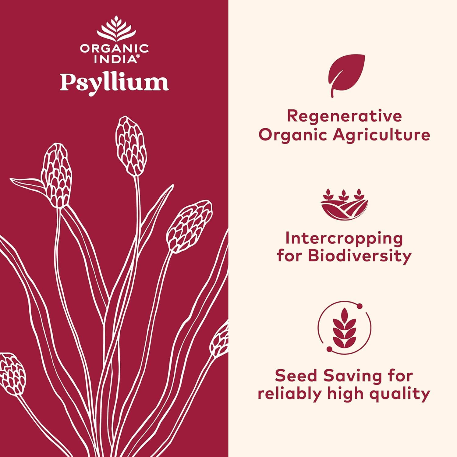 ORGANIC INDIA Psyllium Poudre se mélange dans l'eau, facilitant l'apport en fibre