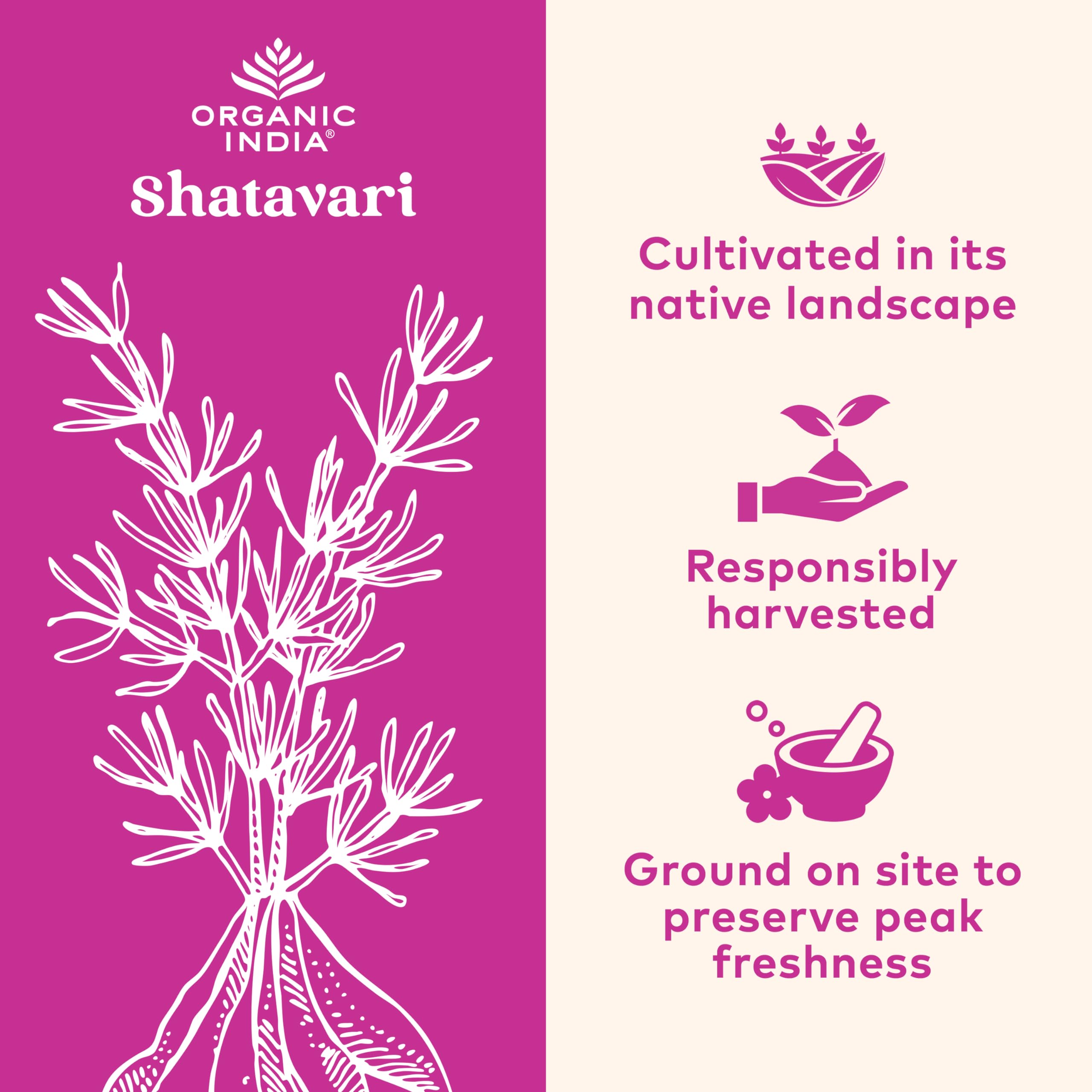 Gélules Shatavari Organic India, prise quotidienne facile dans la routine.