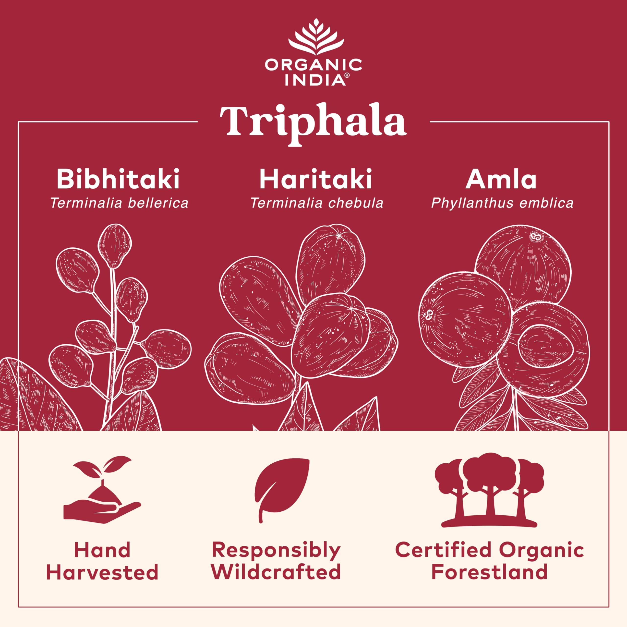 Organic India Triphala: gros plan sur les capsules pour routine bien-être digestive