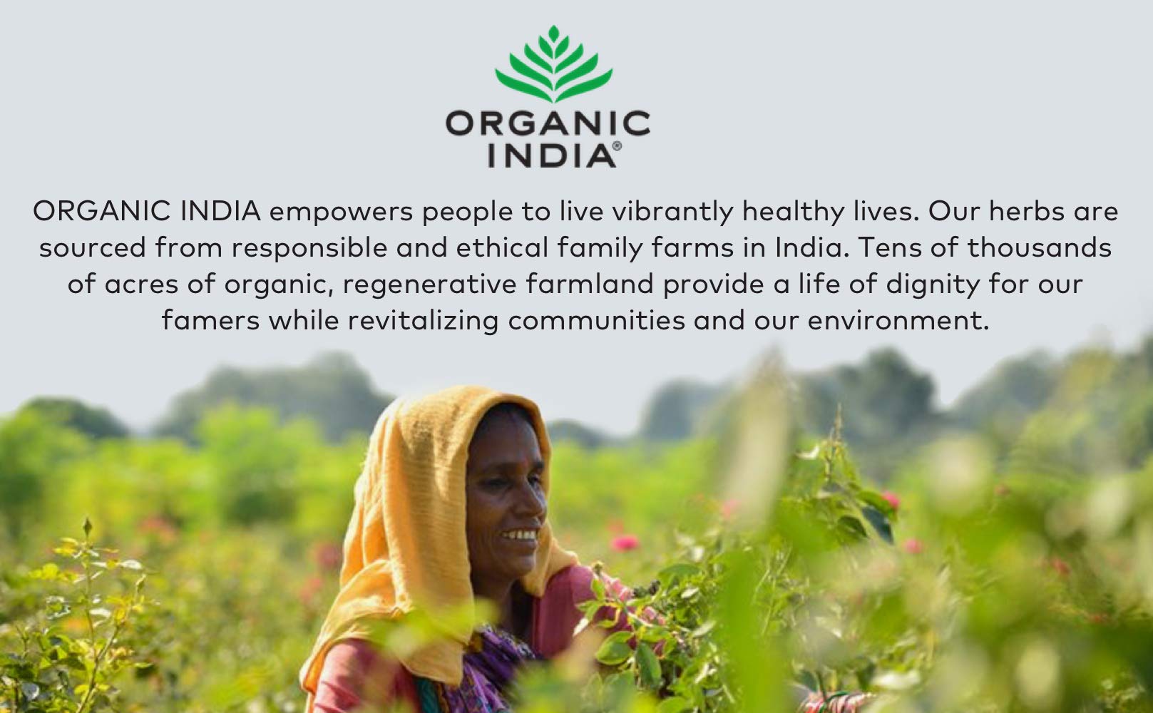 Fruits amla, bibhitaki et haritaki dans Organic India Triphala.