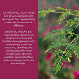 Cuillère-dose Organic India Triphala, dosage quotidien potentiel pour l'équilibre.