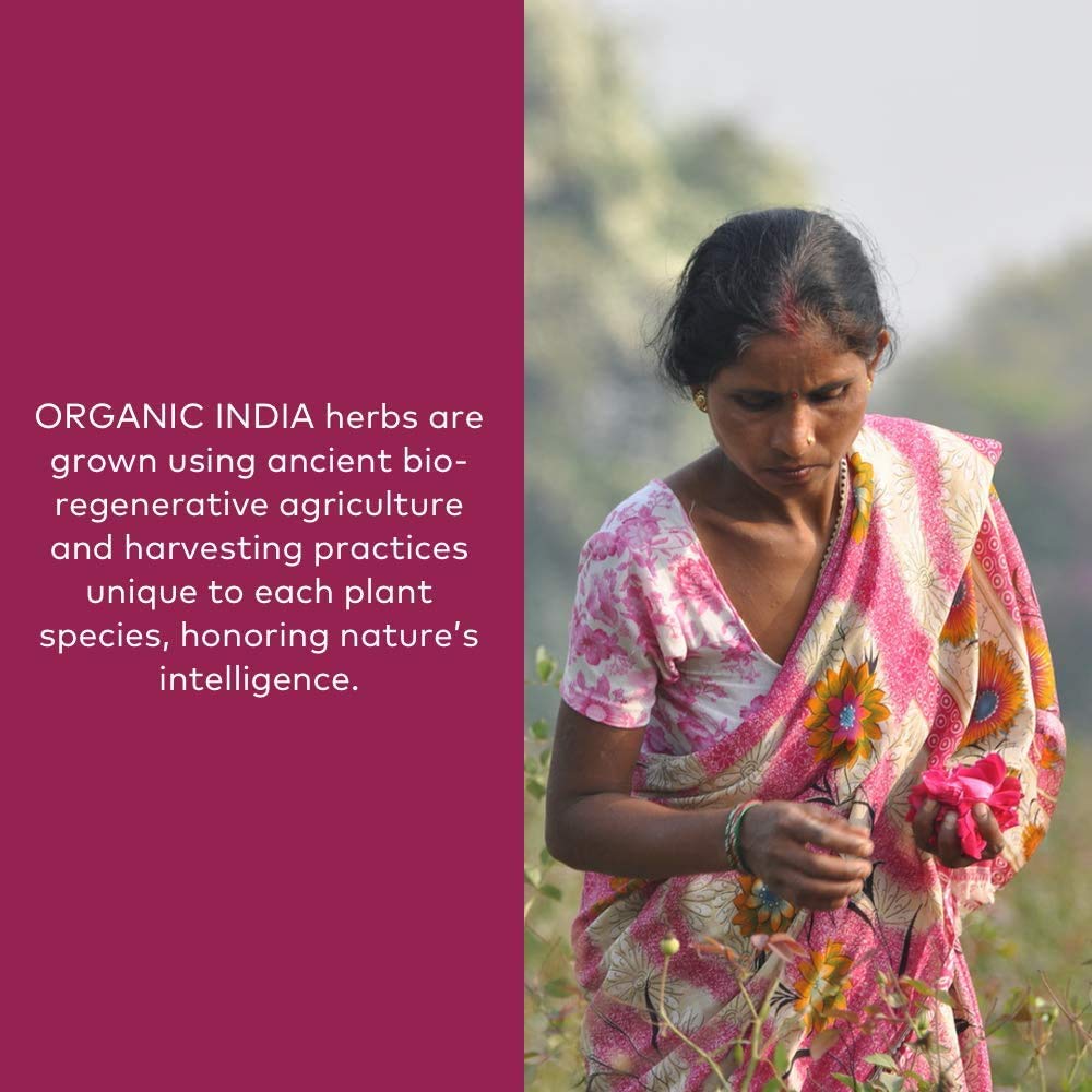 Poudre fine Organic India Triphala, idéale pour boire.
