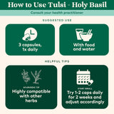 ORGANIC INDIA Tulsi – ingrédients bio, plantes soigneusement récoltées pour une approche durable.