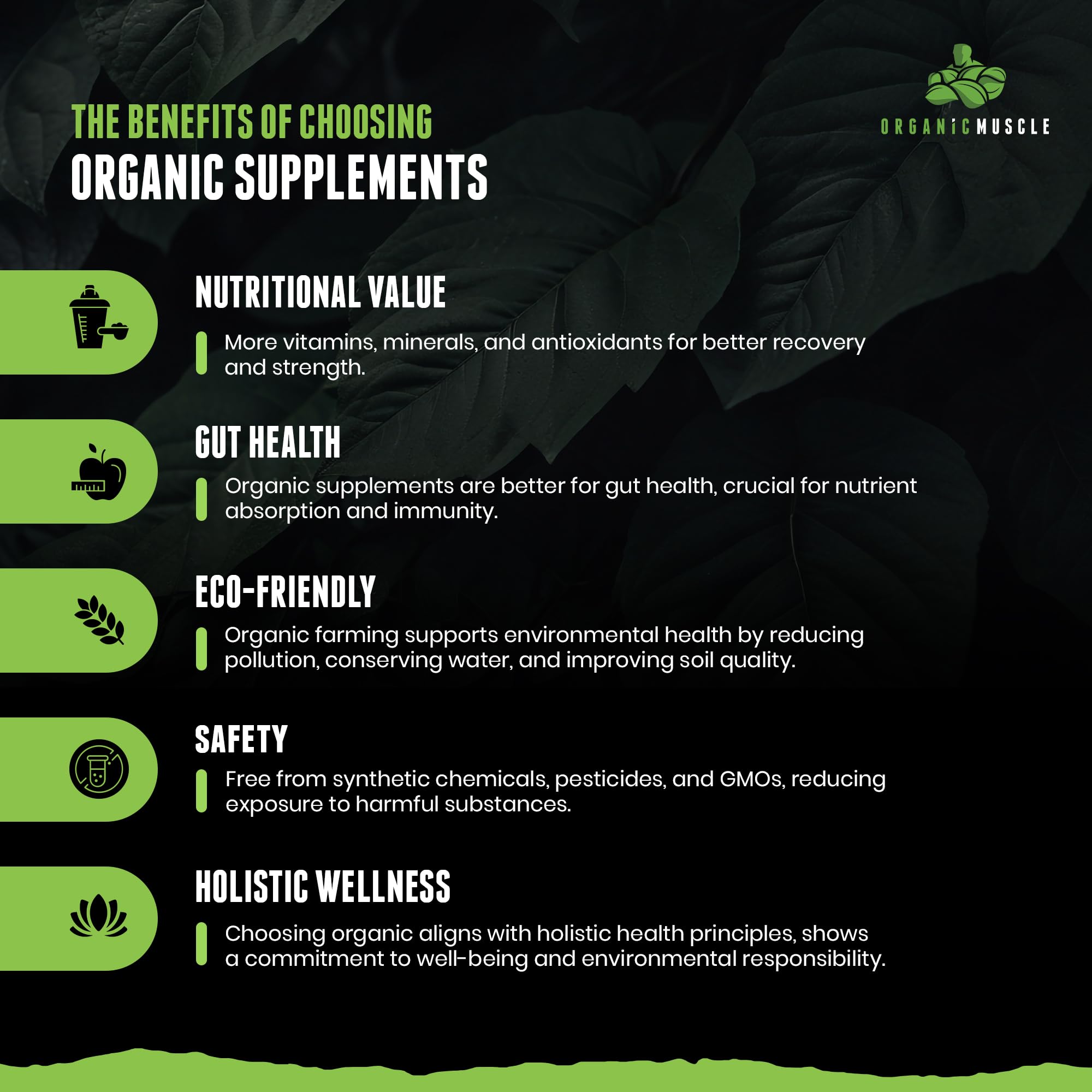 Organic Muscle préparation pré-entraînement citron-framboise idéale pour sessions matin et soir