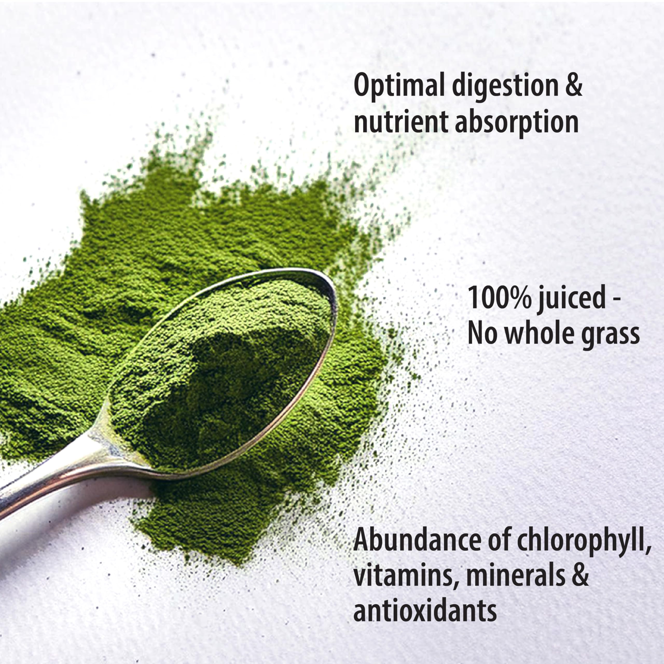 Organic Traditions smoothie vert avec poudre de blé d'herbe, boost quotidien.