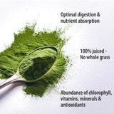 Organic Traditions smoothie vert avec poudre de blé d'herbe, boost quotidien.