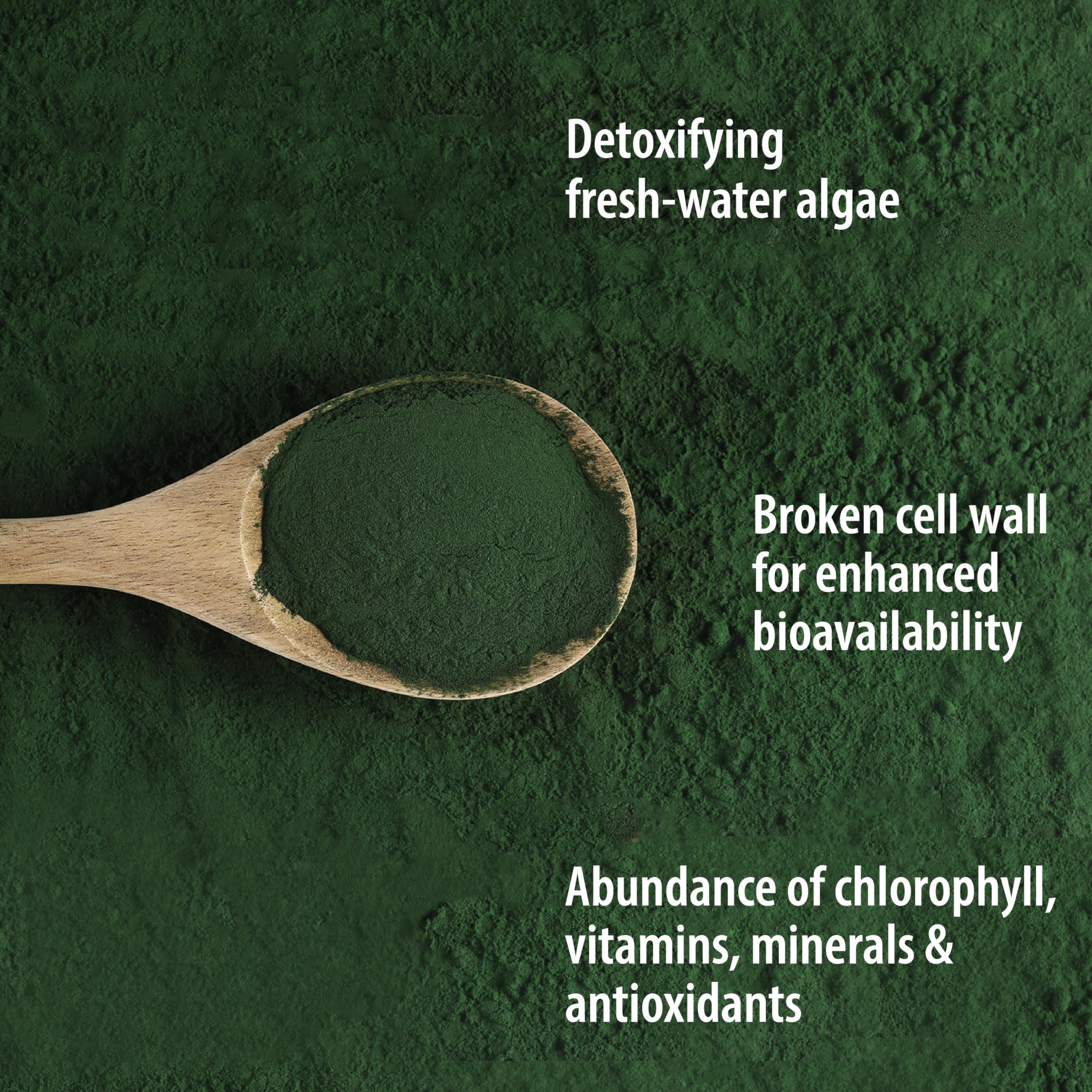 Yaourt avec Organic Traditions Poudre chlorella, source de protéines végétales.