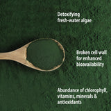 Yaourt avec Organic Traditions Poudre chlorella, source de protéines végétales.