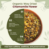 Organic Way camomille-assortiment-herbace: ensemble botanique prêt pour collections et rangement.
