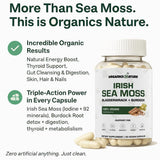 ORGANICS NATURE Irish Sea Moss capsules – emballage éco-responsable sans allergènes.