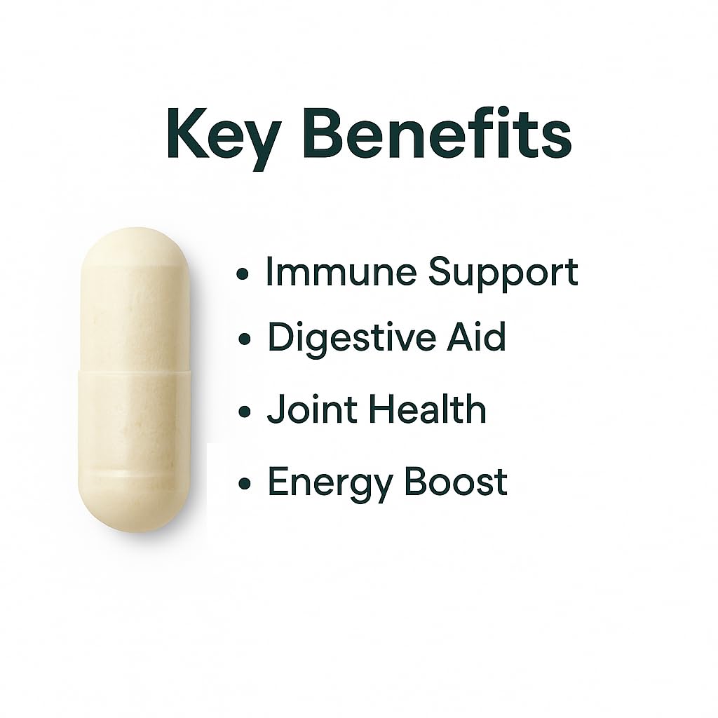 ORGANICS NATURE Irish Sea Moss capsules – utilisation quotidienne pour soutenir énergie et bien-être.